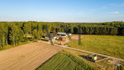 Sprzedam siedlisko z domem i domkiem gości w Zabagnie działka Zabagnie