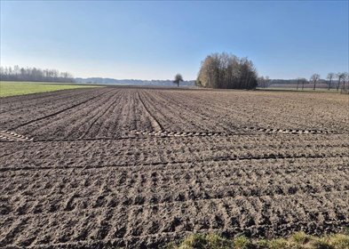 działka na sprzedaż 6100m2 działka Rawica Stara