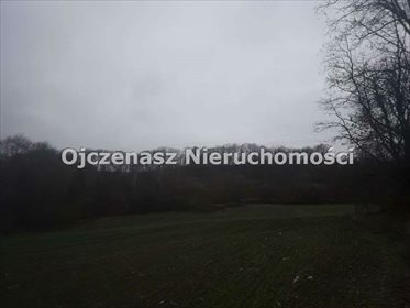 Działka 6819 m² z widokiem na Wisłę - polecam! działka Strzelce Dolne