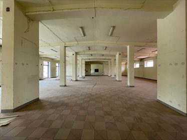 lokal użytkowy na wynajem 500m2 lokal użytkowy Rzeszów, gen. Leopolda Okulickiego