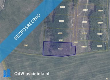 działka na sprzedaż 3801m2 działka Bielkówko