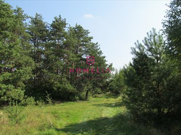 działka na sprzedaż 168500m2 działka Zwierzyniec