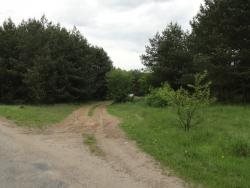 Działka leśna na sprzedaż Skroda Wielka 9 200m2 Foto 5
