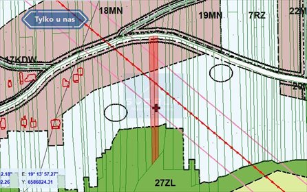 działka na sprzedaż 3650m2 działka Jaskrów, Jurajska