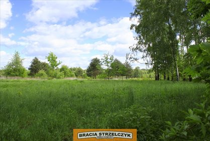 działka na sprzedaż 3065m2 działka Buczynów
