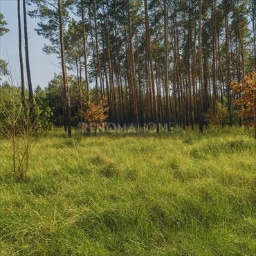 działka na sprzedaż 744m2 działka Zielona Góra