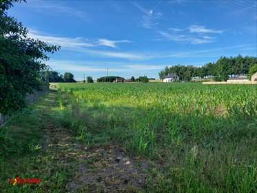 Zapraszam do zakupu działki 1071 m² w Hucie Palędzkiej działka Huta Palędzka