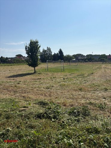 Polecam działkę 1750 m² pod dom z warunkami zabudowy działka Ostrzeszów-Pustkowie, Mikorska
