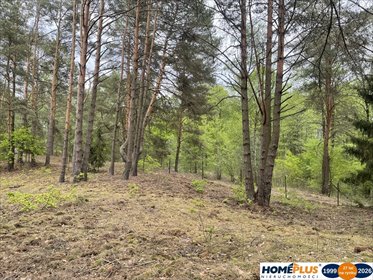 Działka 2064 m² w Rejentówce – las, prąd, dom całoroczny działka Radzymin, Rejentówka