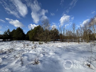 działka na sprzedaż 5999m2 działka Nowiny