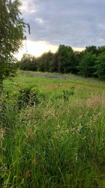 działka na sprzedaż 775m2 działka Bieruń, Skowronków