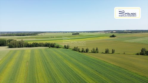 działka na sprzedaż 10000m2 działka Parzyce