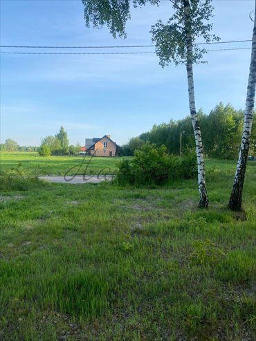 Działka leśna na sprzedaż Augustówka 1 957m2 Foto 4