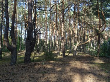 działka na sprzedaż 1657m2 działka Józefów, Józefów, Aleksandra Puszkina