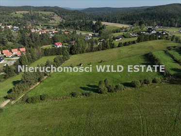 działka na sprzedaż 6215m2 działka Solina, Berezka