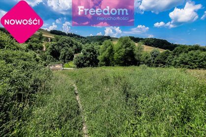 Działka rekreacyjna na sprzedaż Huta Brzuska 6 700m2 Foto 5