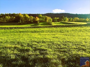 Działka 33 arów z potencjałem zabudowy i widokiem polecam działka Słopnice