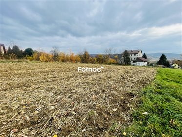 działka na sprzedaż 7600m2 działka Dobczyce, Skrzynecka