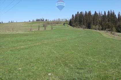 Działka rolna na sprzedaż Pieniążkowice 2 528m2 Foto 1