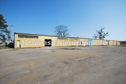 Magazyn 1545 m² z placem i podziałem na wynajem lokal użytkowy Szubin