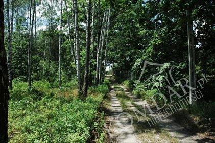 działka na sprzedaż 956m2 działka Warszawa, Wesoła, Groszówka, Groszówka