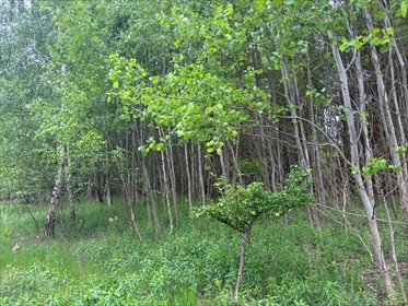 działka na sprzedaż 1000m2 działka Sułkowice, Sułkowice