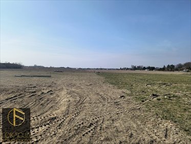 Polecam działkę inwestycyjną 4000 m² pod budowę domów działka Kalisz