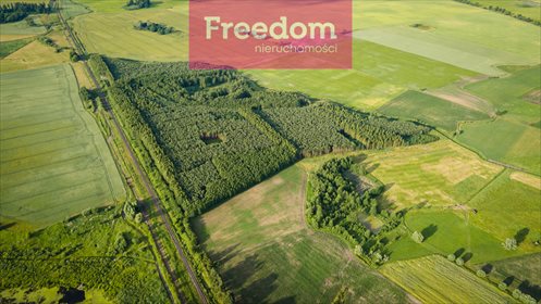 Działka leśna na sprzedaż Parys 205 000m2 Foto 4