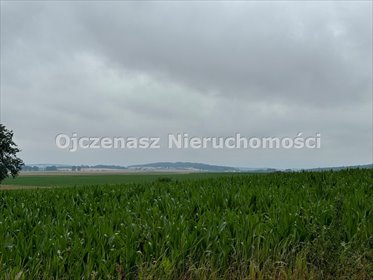 Działka budowlana 3017 m² w Niemczu – inwestycja lub dom działka Niemcz