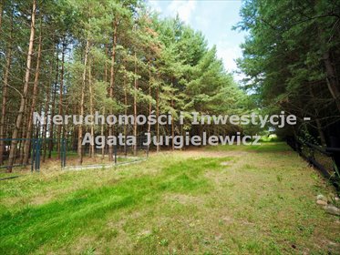 Działka budowlana 1500 m² w lesie, prąd, ogrodzona - zapraszam działka Ostrowina