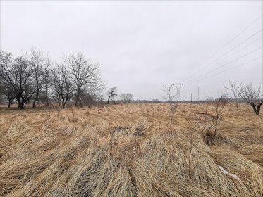 działka na sprzedaż 1714m2 działka Okszów-Kolonia