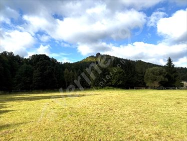 działka na sprzedaż 2440m2 działka Janowice Wielkie