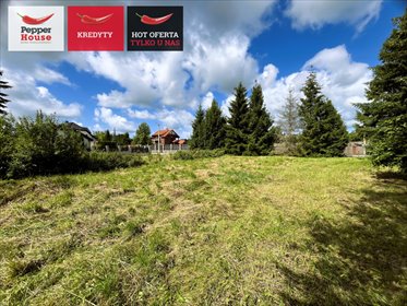 Polecam działkę 1287 m² w Zaleskie - idealna pod dom! działka Zaleskie