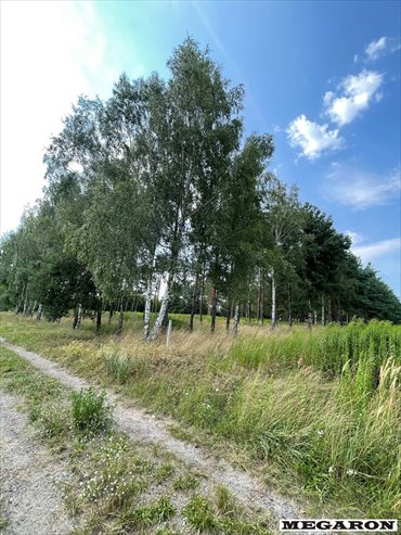 Polecam działkę 924 m² w Wancerzowie z szerokim frontem 25 m działka Wancerzów