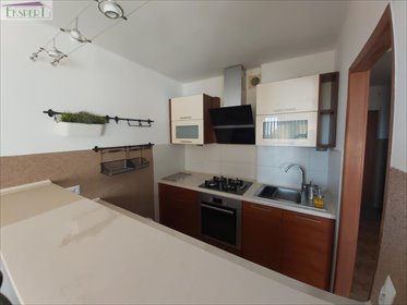 mieszkanie na wynajem 36m2 mieszkanie Katowice, EKSPERT 695 960 915