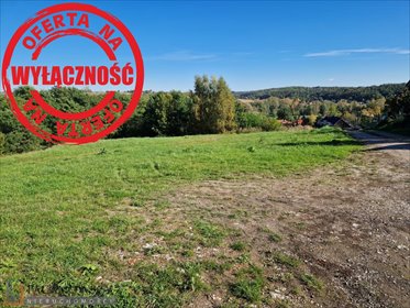 działka na sprzedaż 4400m2 działka Michałowice