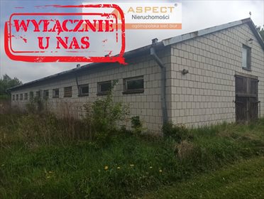 Magazyn na sprzedaż Suskowola 1 438m2 Foto 7
