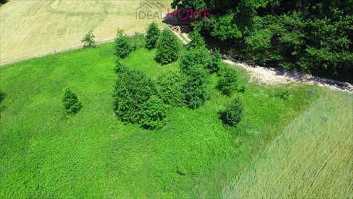 Działka rekreacyjna na sprzedaż Pstrągówka 6 900m2 Foto 4