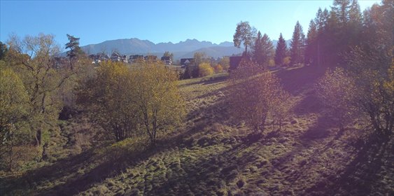 działka na sprzedaż 2720m2 działka Zakopane, Hrube