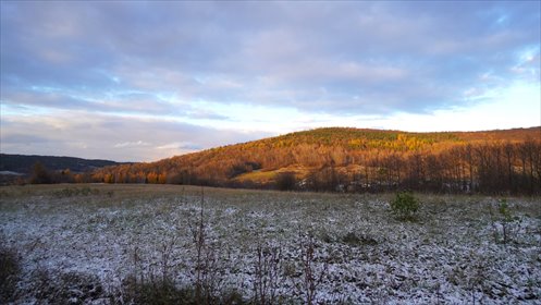 działka na sprzedaż 9700m2 działka Wapienne