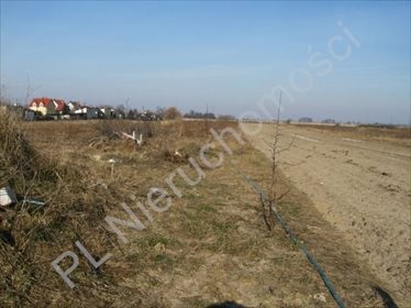 działka na sprzedaż 6000m2 działka Błonie