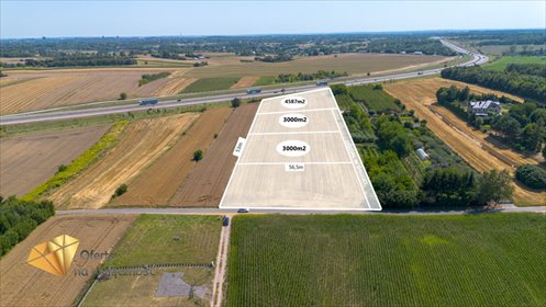 działka na sprzedaż 3000m2 działka Konopnica, Motycz-Józefin