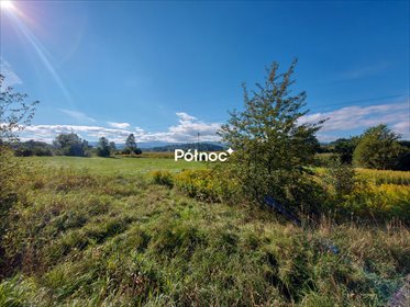 działka na sprzedaż 18637m2 działka Jelenia Góra, Andrzeja Cinciały