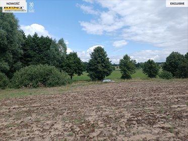 Działka 3008 m² w Chociwelu z warunkami zabudowy zapraszam działka Chociwel
