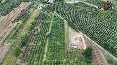 działka na sprzedaż 2000m2 działka Dębówka