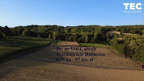 Zapraszam do obejrzenia działki 59 arów w Przedmieściu Dubieckim działka Przedmieście Dubieckie