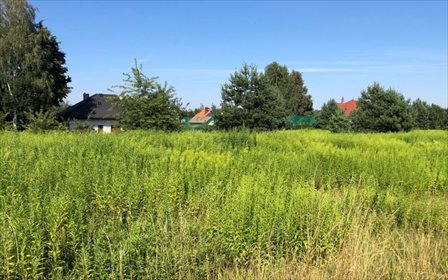 Polecam dużą działkę 2500 m² z mediami pod rezydencję działka Tarnowskie Góry, GRODZKA