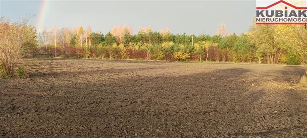 działka na sprzedaż 9800m2 działka Koszajec