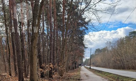 działka na sprzedaż 2700m2 działka Łomianki, Dąbrowa Leśna, Leśnych Dębów