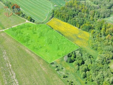 Działka rolna 1,82 ha z pięknymi widokami i inwestycyjnym potencjałem działka Dziwiszów, Dziwiszów